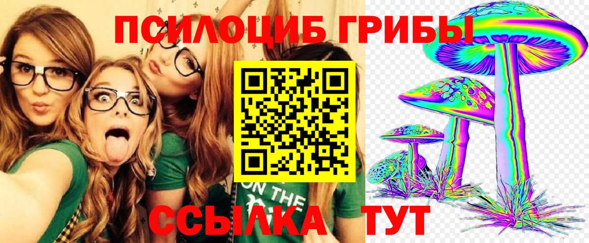 Галлюциногенные грибы Psilocybine cubensis Арсеньев